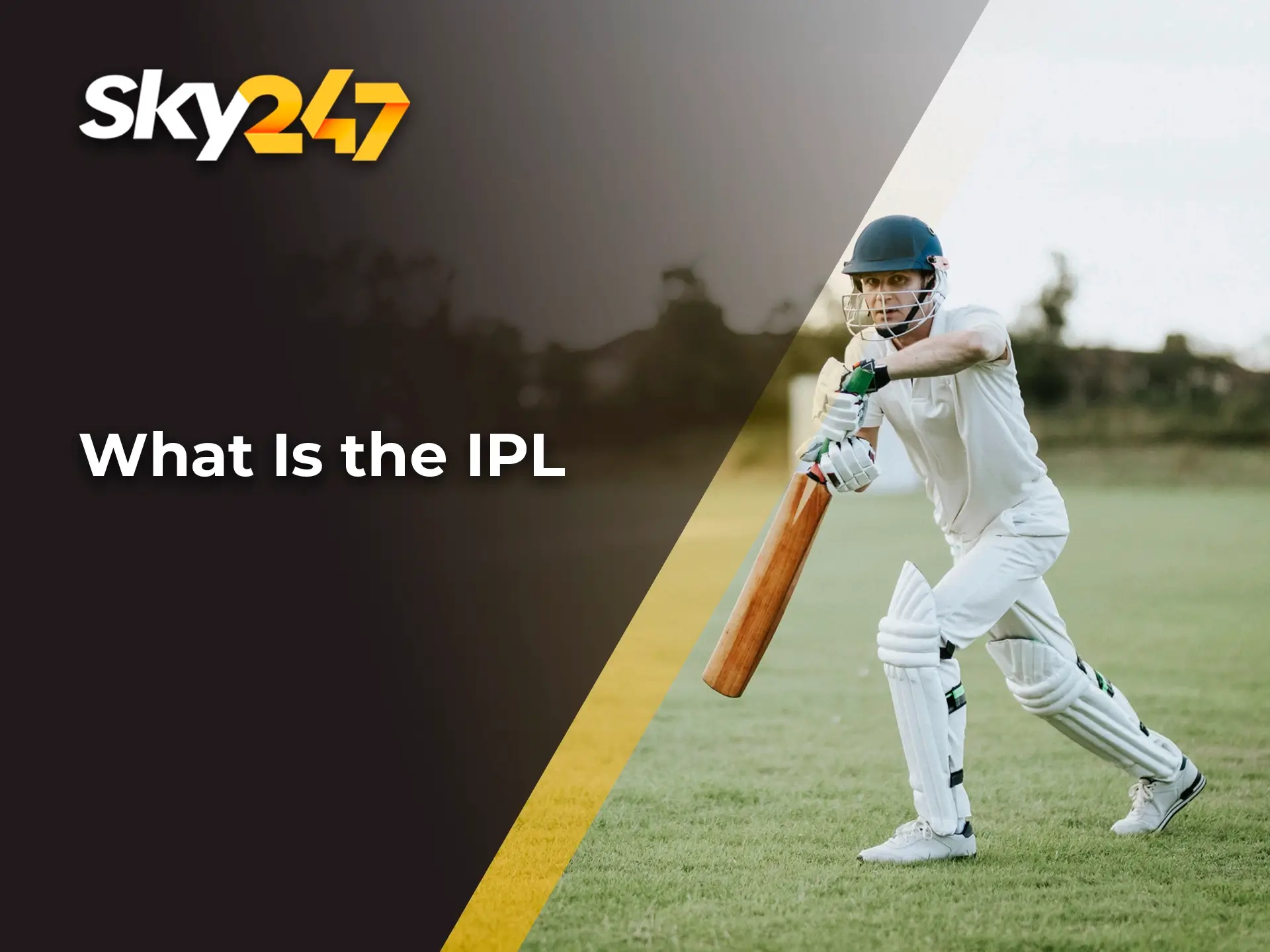 Find out the details of the origin and popularity history of IPL tournament in India with Sky247.