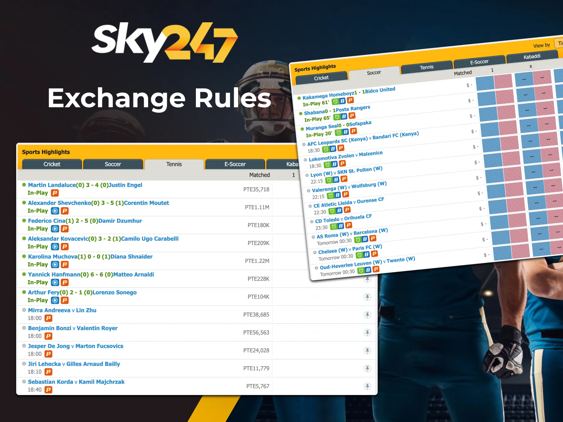 Place bets on popular sports matches at Sky247 online casino after reading the rules.