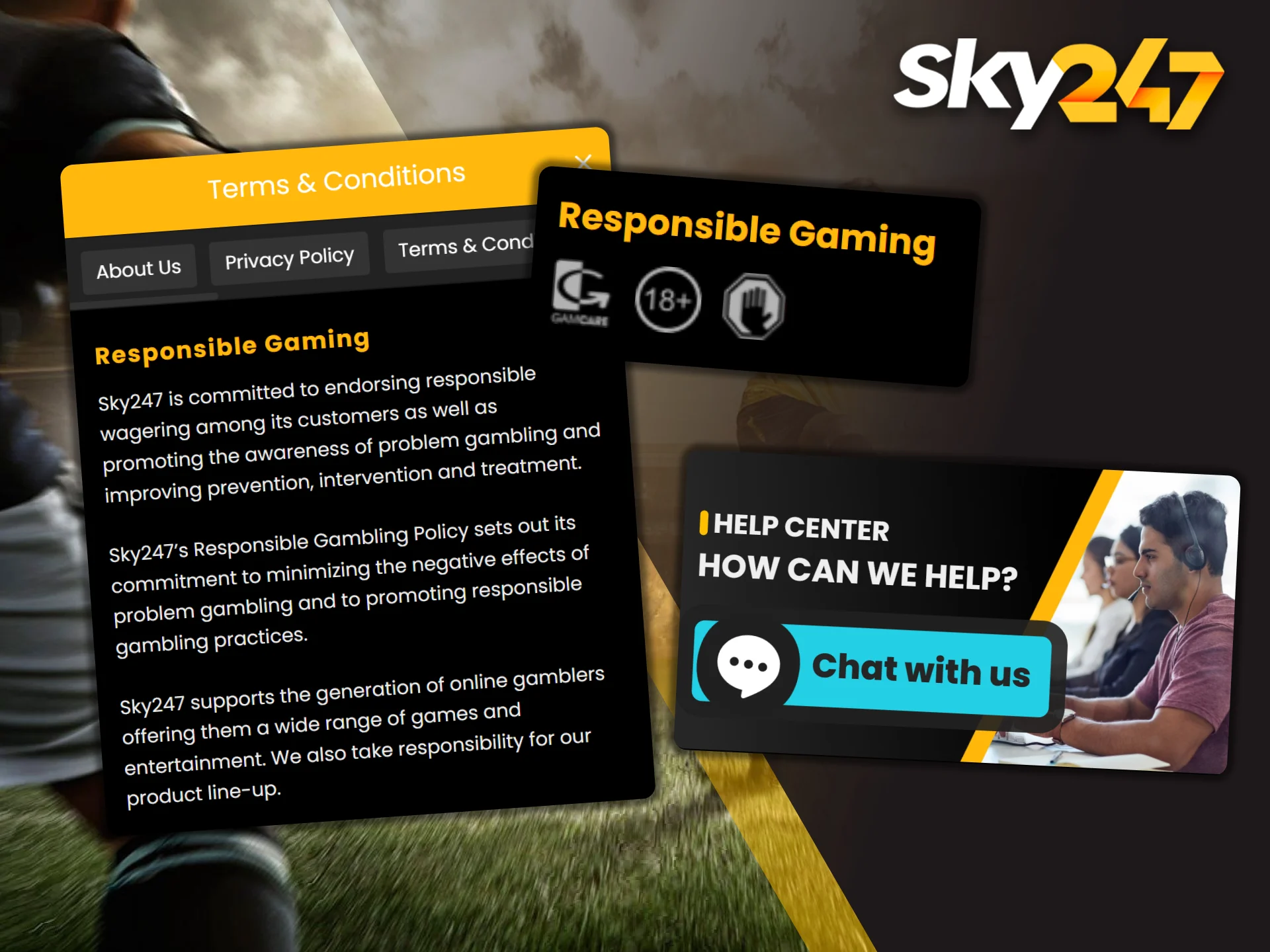 Information blocks remind users of responsible gaming principles on Sky247.