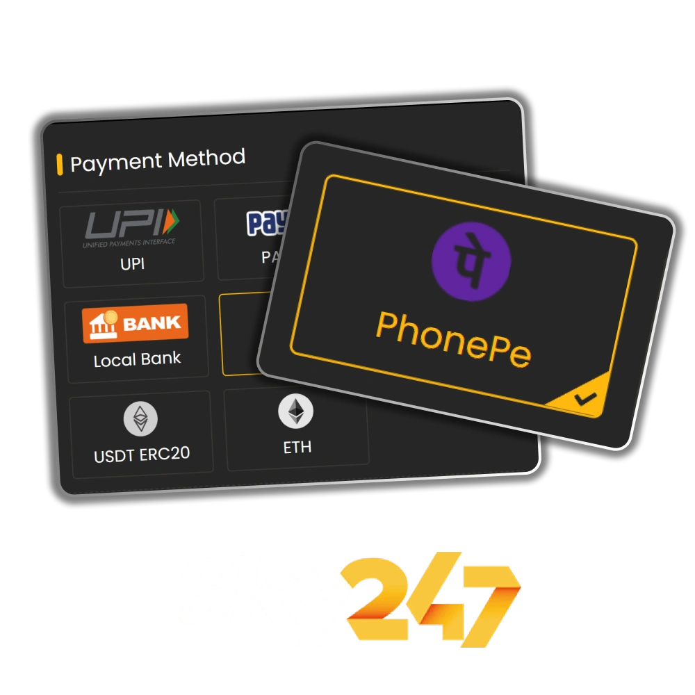 A list of payment systems displays available deposit methods at Sky247.